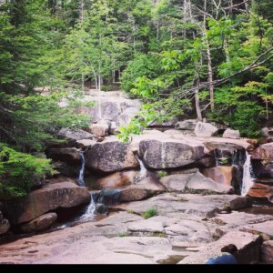 wolfgang muller Gallery