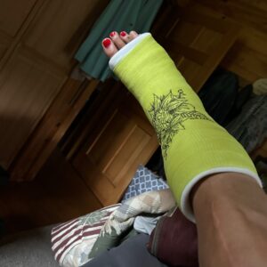 stephen driscoll Gallery