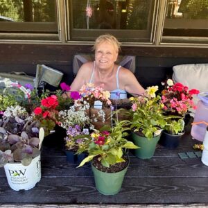 stephen driscoll Gallery