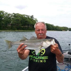 donald poolesr Gallery