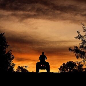 brian bernier Gallery