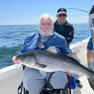 george st. hilaire Gallery