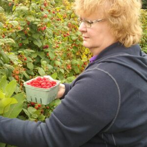 diane dubovik Gallery