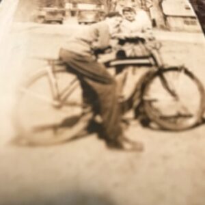 diane dubovik Gallery