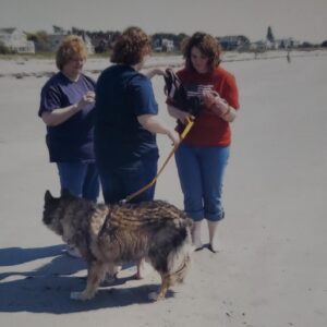 diane dubovik Gallery