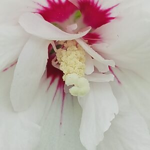 alan robichaud Gallery