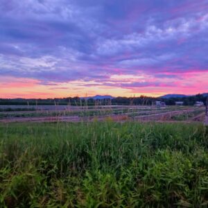 alan robichaud Gallery