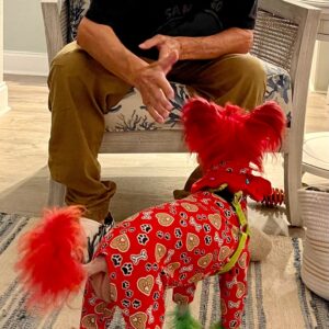 richard sevigney Gallery