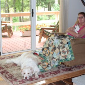 phyllis hayden Gallery