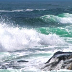 phyllis hayden Gallery