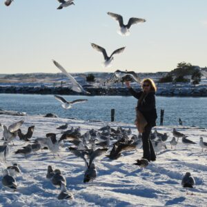 phyllis hayden Gallery