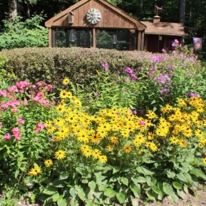 phyllis hayden Gallery