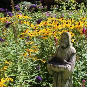 phyllis hayden Gallery