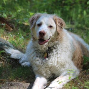 phyllis hayden Gallery