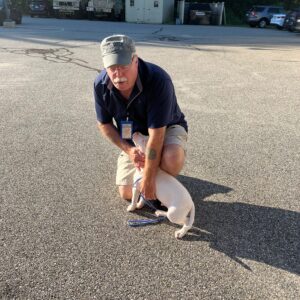 albert phillips Gallery