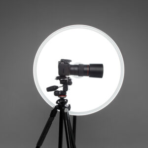 manuel deamaral Gallery