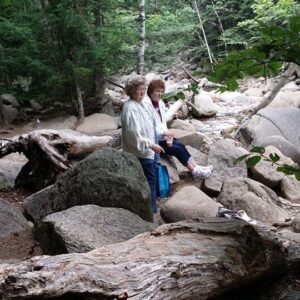 virginia debutts Gallery