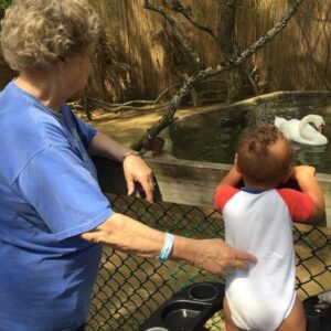 virginia debutts Gallery