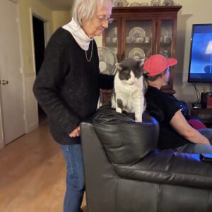 virginia costa Gallery