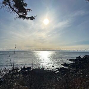 ernestine larose Gallery