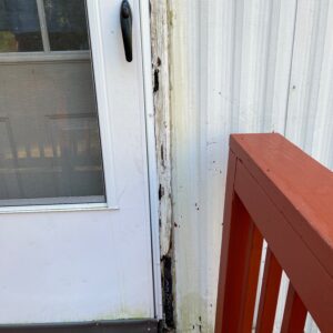 ernest pontbriand Gallery