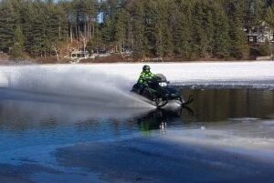 dawn harwood Gallery