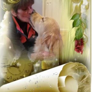 dawn harwood Gallery