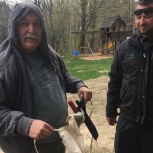 philip genest Gallery