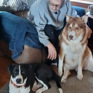 steven gonthier Gallery