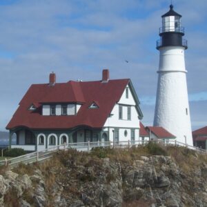 dorothy toomey Gallery