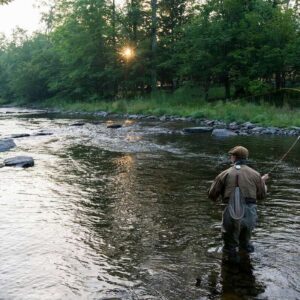 michael fecteau Gallery