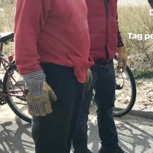 douglas coyle Gallery