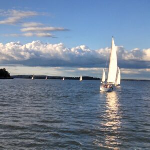 douglas coyle Gallery