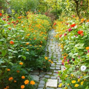 clair sharpless Gallery