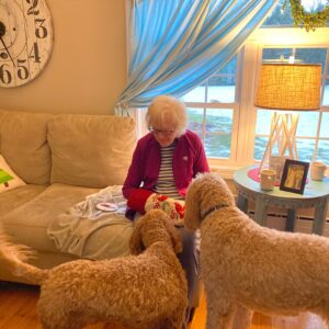 susan harkins Gallery
