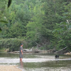 george richardson Gallery