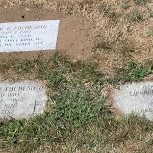 mark fochesato Gallery