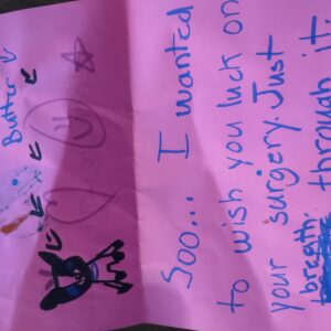 carol sullivan Gallery