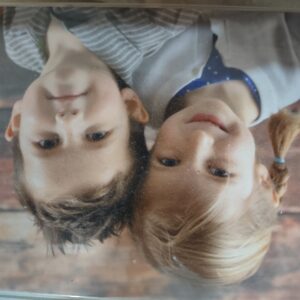 carol sullivan Gallery