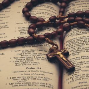 carol sullivan Gallery