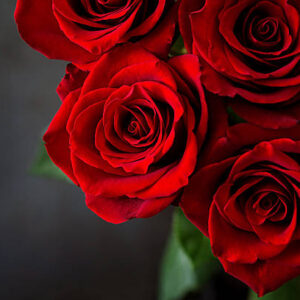 nhien nguyen Gallery