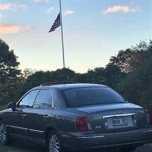 marilyn cost Gallery