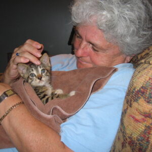 patricia clifford Gallery