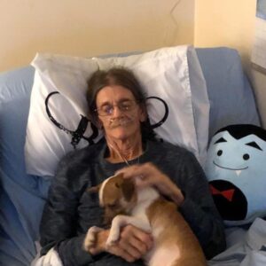 daniel angers Gallery