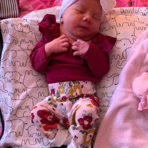 daniel angers Gallery