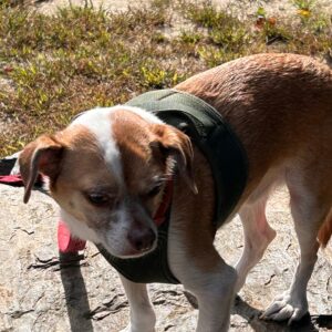 daniel angers Gallery