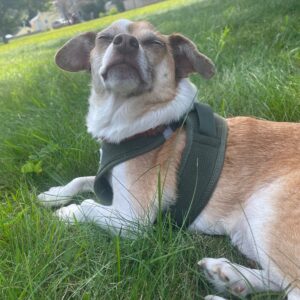 daniel angers Gallery