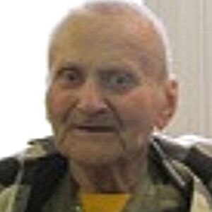 donald palmer Gallery