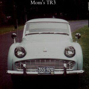 virginia zulker Gallery