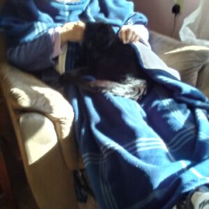 marjorie dawson Gallery